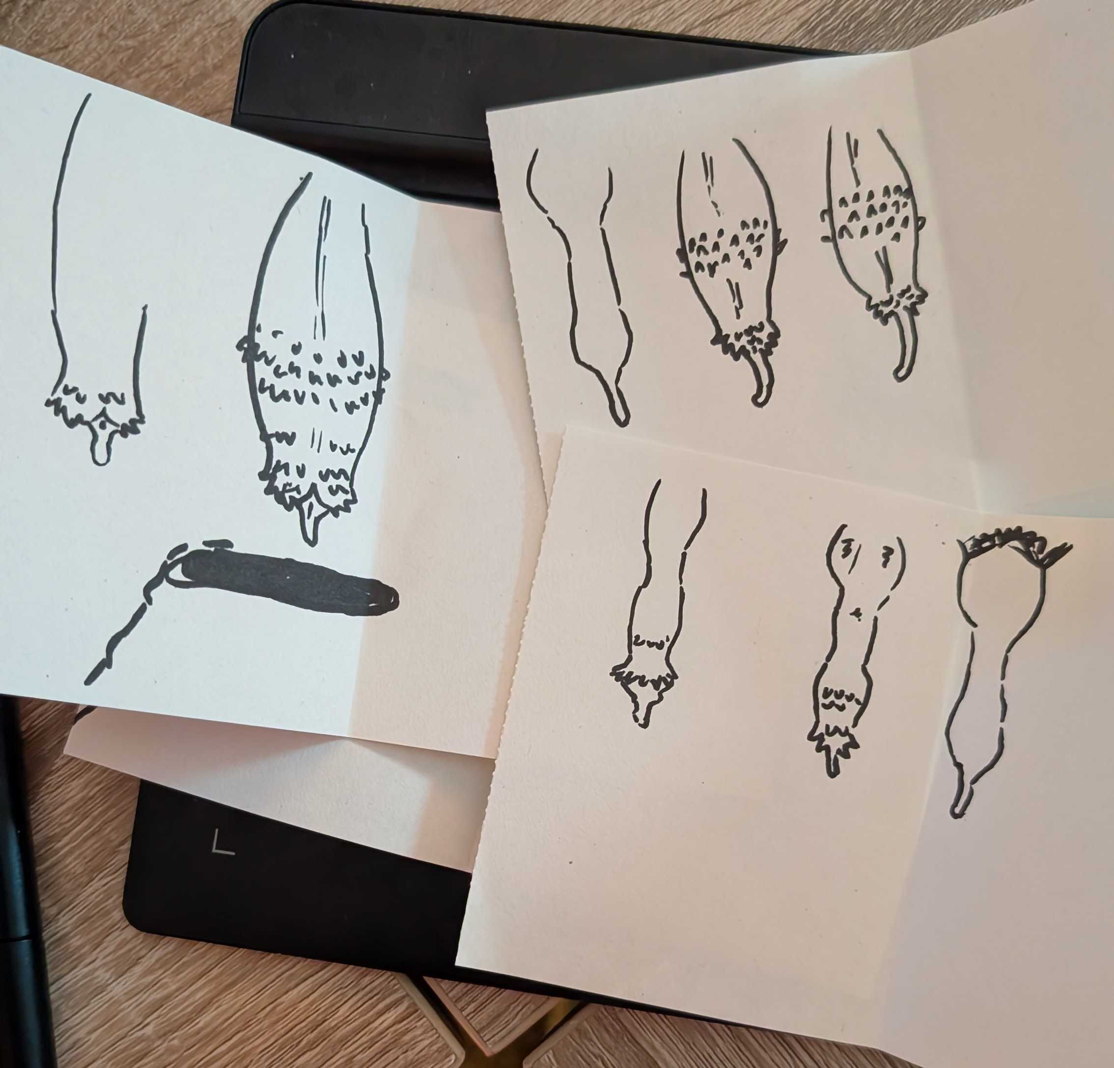 A photo of a bunch of paper with different sketches done in marker.