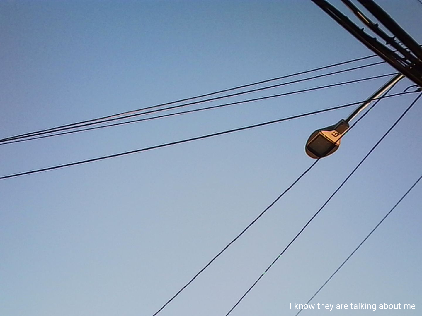 "I known they are talking about me" words read over top of a photo of the sky. Cables interrupt the off-blue as a street lamp looms from the right.